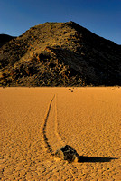 DESERT SOUTHWEST